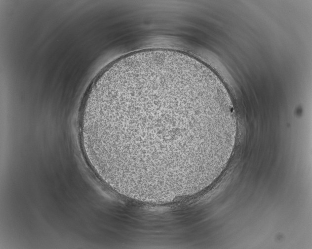 X0000116561043201001211218