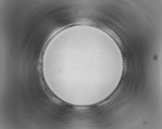 X0000116561044201001211218