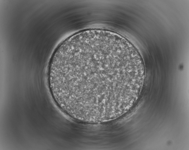 X0000116561045201001211218