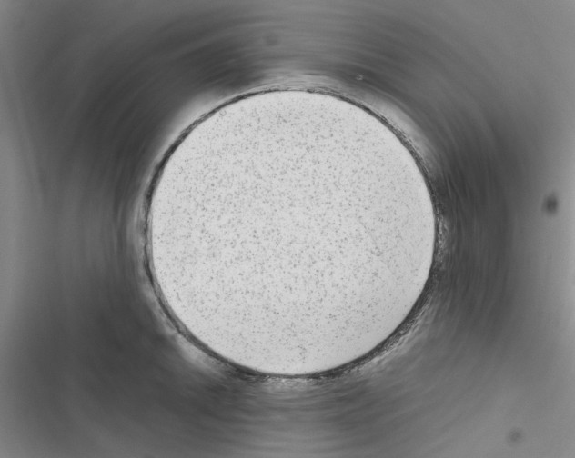 X0000116561046201001211218
