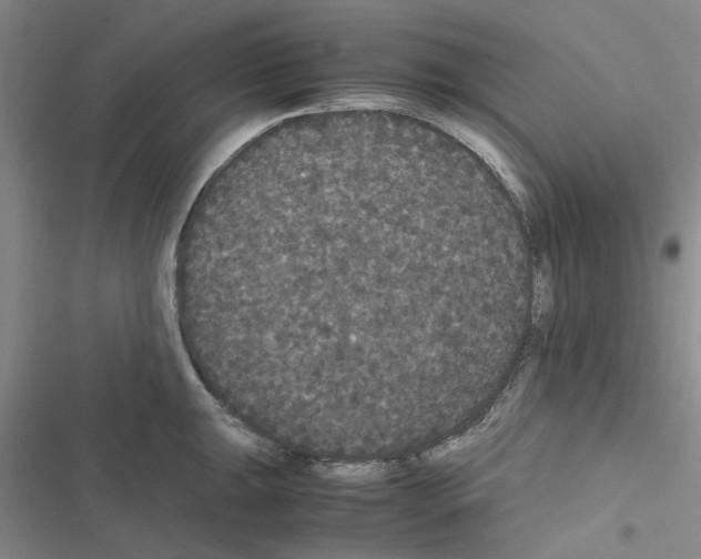 X0000116561047201001211218