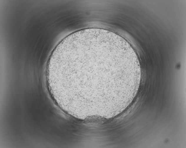 X0000116561048201001211218