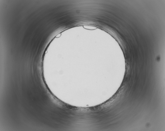 X0000116561050201001211218