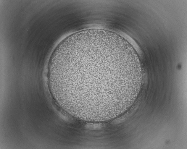 X0000116561051201001211219