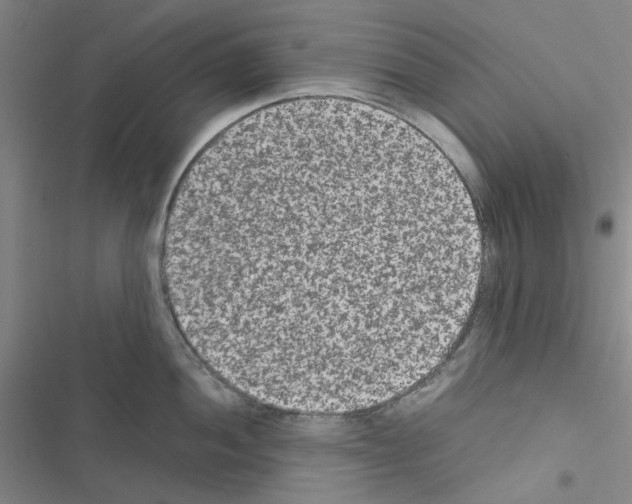 X0000116561052201001211219