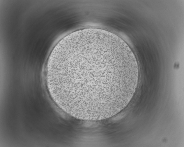 X0000116561056201001211219