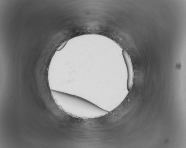 X0000116561057201001211218