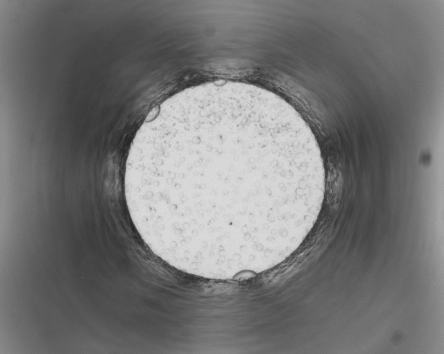 X0000116561058201001211218