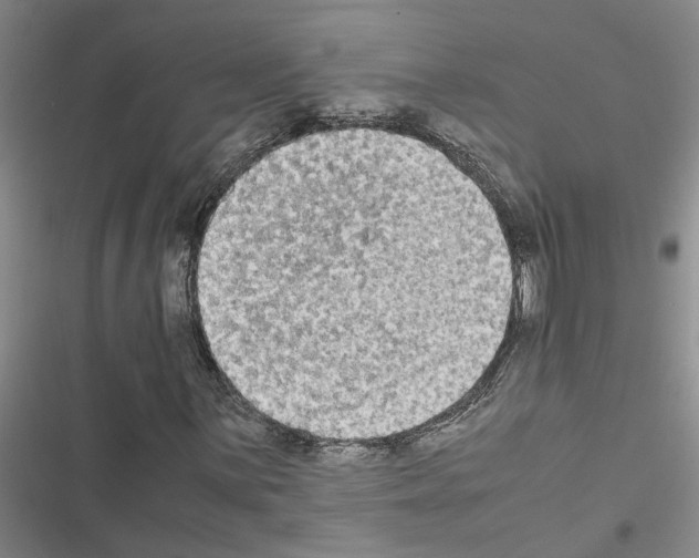 X0000116561059201001211218