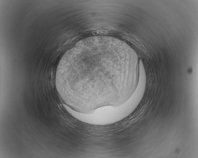 X0000116561060201001211218