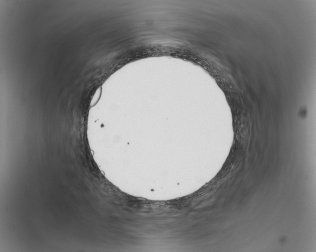 X0000116561061201001211218