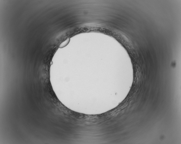 X0000116561062201001211218