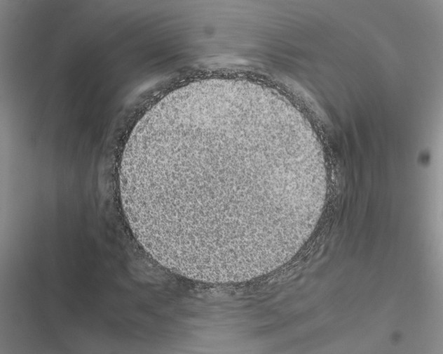 X0000116561063201001211218