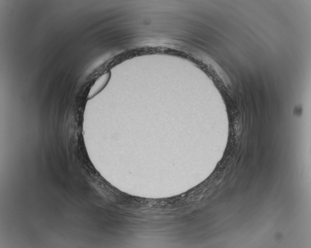 X0000116561064201001211218