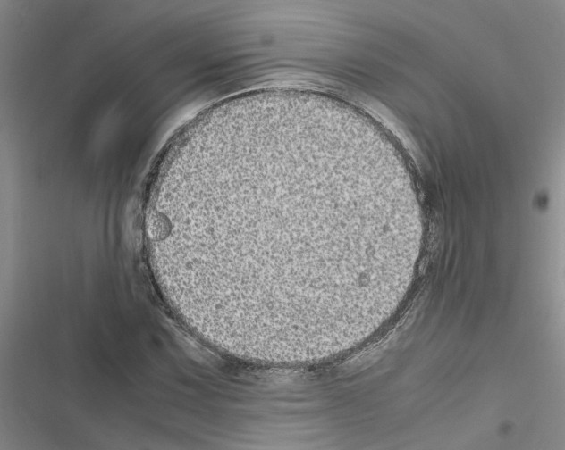 X0000116561067201001211218