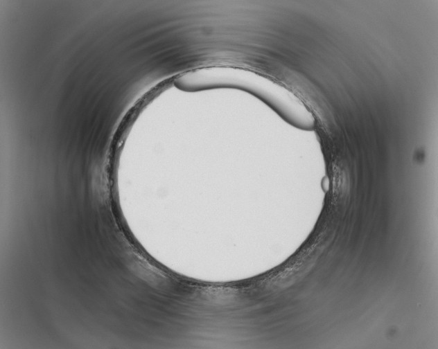 X0000116561068201001211218