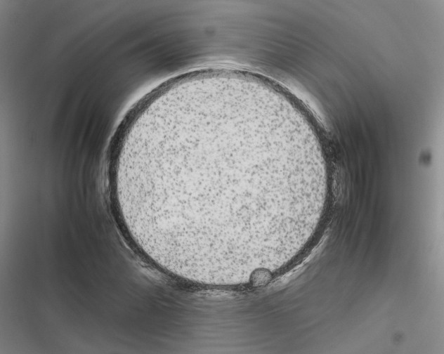 X0000116561070201001211218