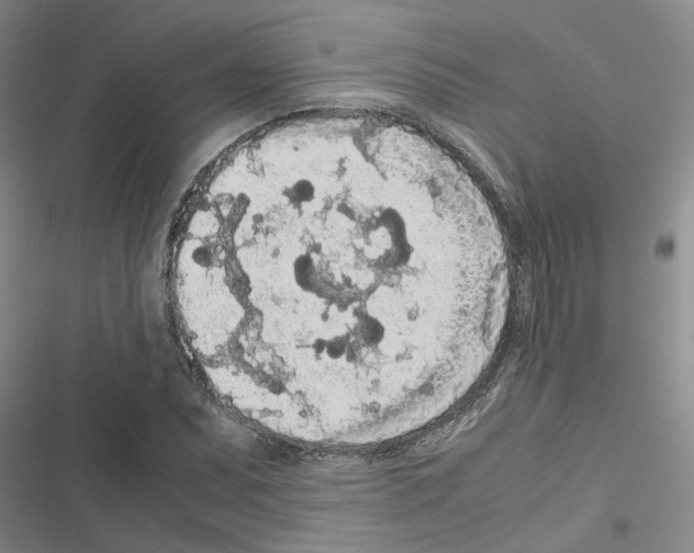 X0000116561071201001211218