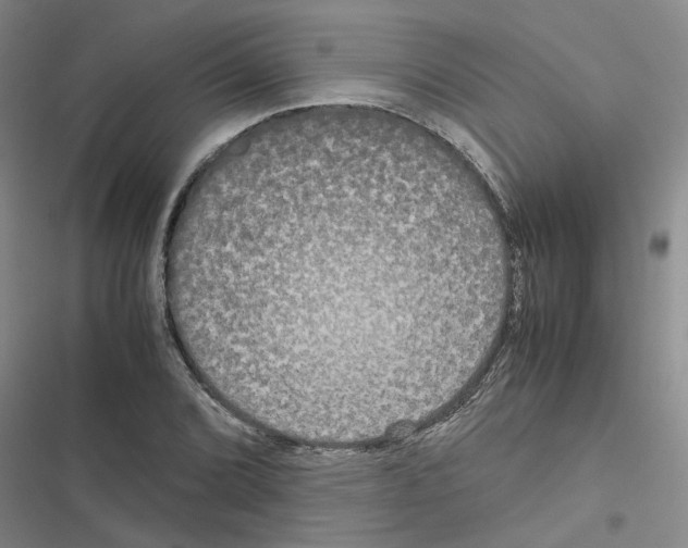 X0000116561072201001211218
