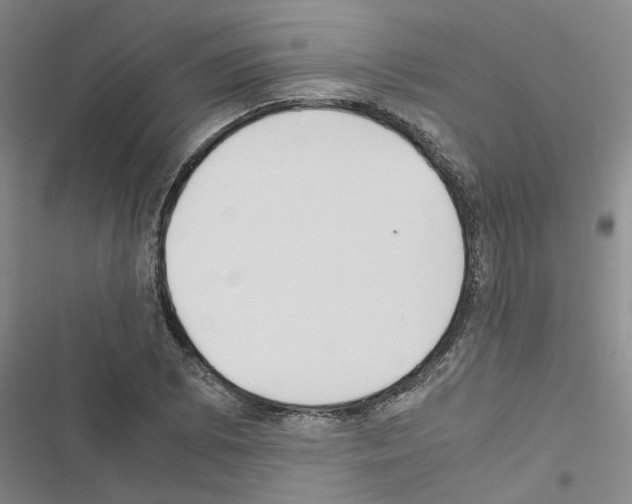 X0000116561073201001211218