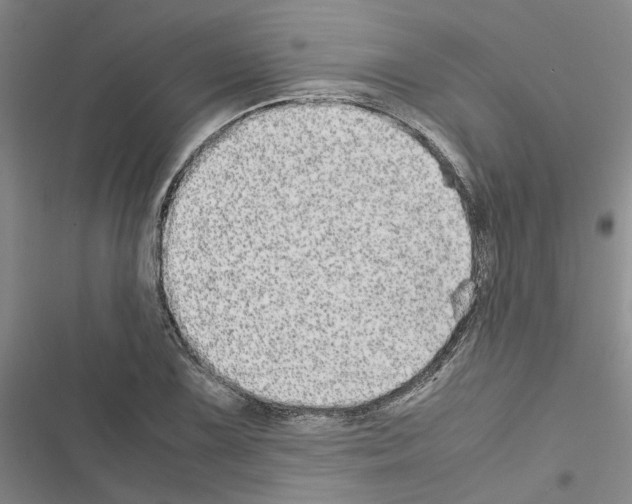 X0000116561075201001211218