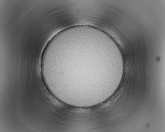 X0000116561076201001211218