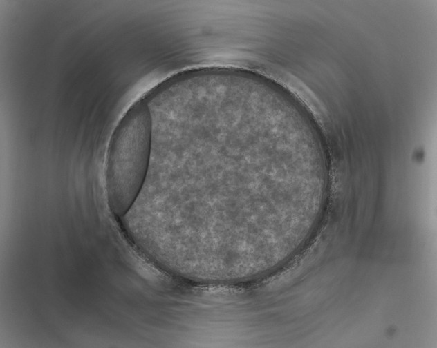 X0000116561077201001211218