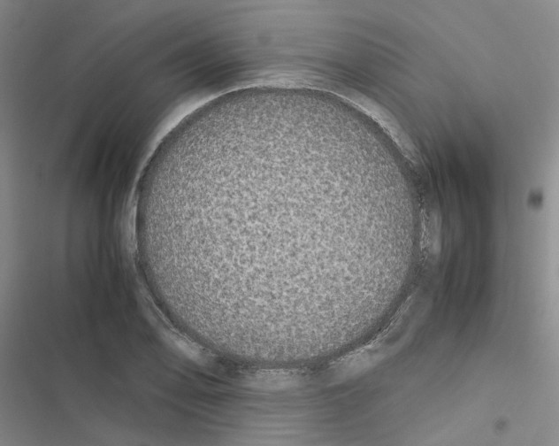 X0000116561078201001211218