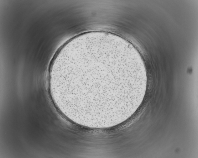 X0000116561079201001211218