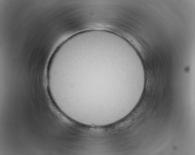 X0000116561080201001211218