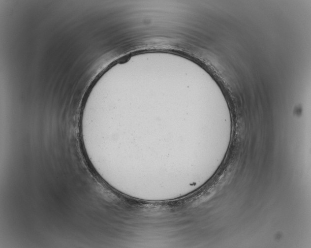 X0000116561081201001211218