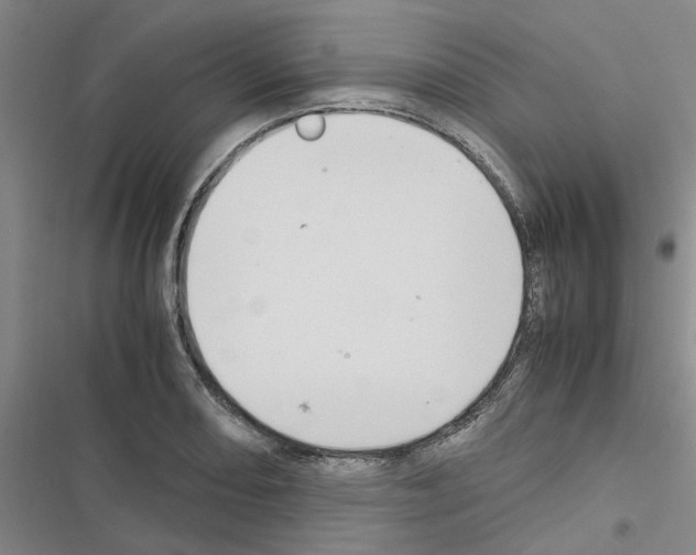 X0000116561082201001211218