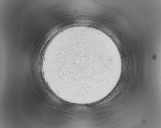 X0000116561083201001211218
