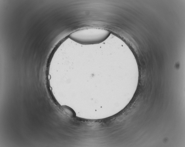 X0000116561085201001211218