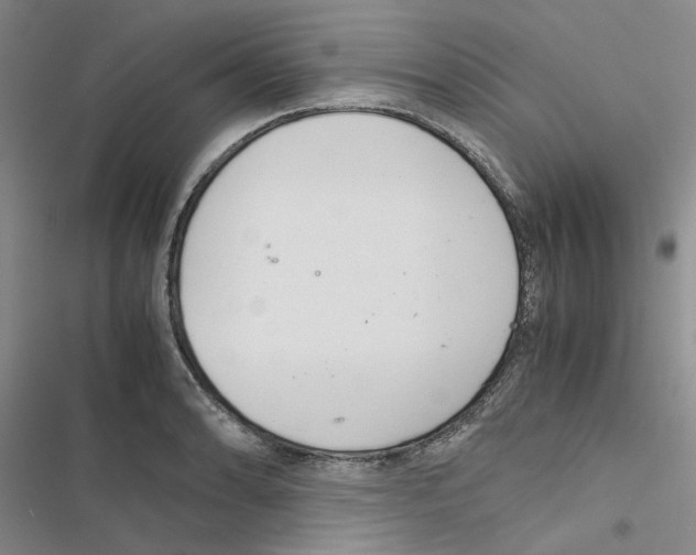 X0000116561086201001211218