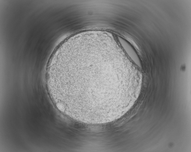 X0000116561087201001211218