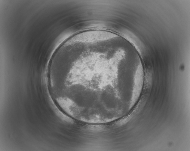 X0000116561090201001211217