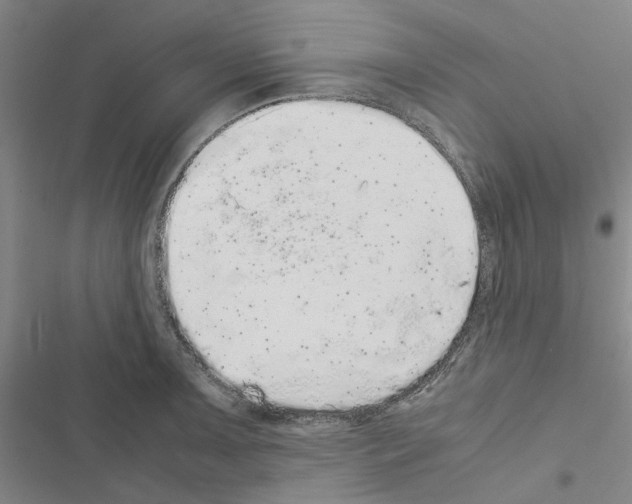 X0000116561091201001211217