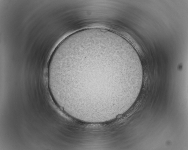 X0000116561092201001211217