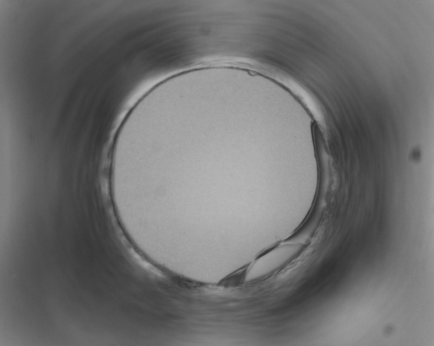 X0000116561102201001211217
