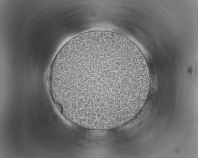 X0000116561103201001211217