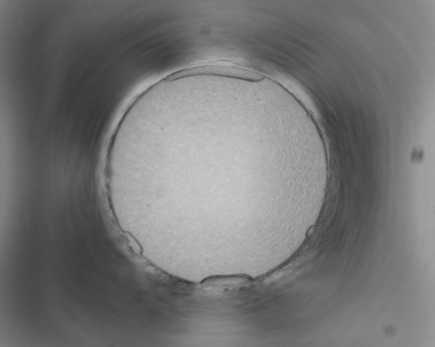 X0000116561104201001211217
