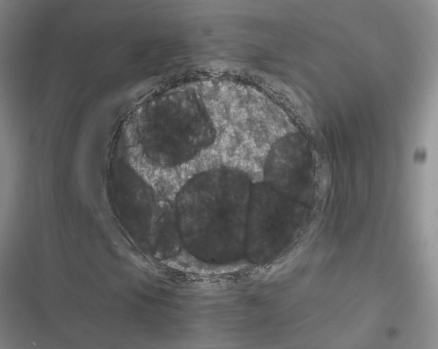 X0000116561105201001211217