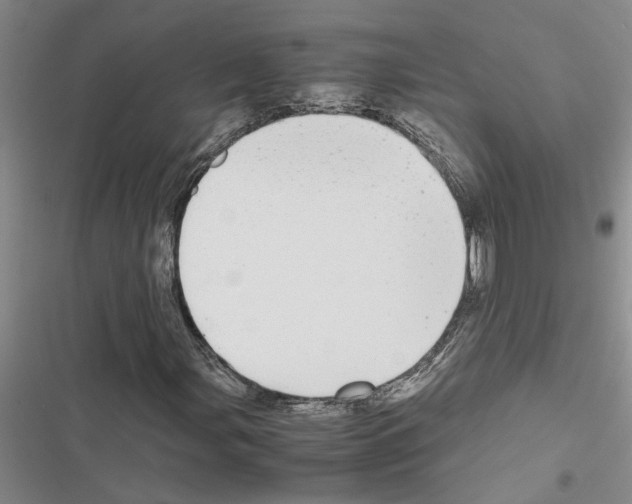 X0000116561107201001211217