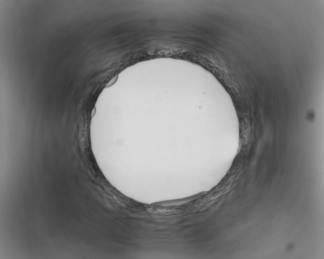 X0000116561109201001211217