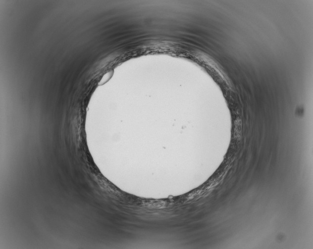 X0000116561111201001211217
