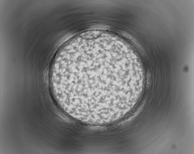 X0000116561113201001211217