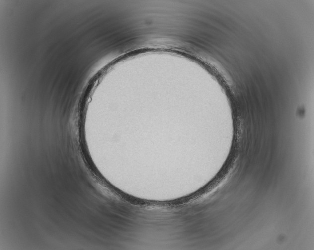 X0000116561114201001211217