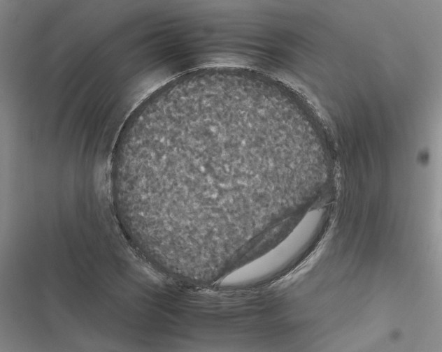 X0000116561121201001211217