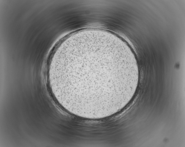 X0000116561123201001211217